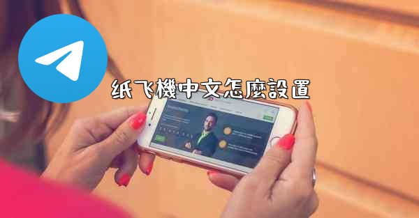 纸飞機中文怎麼設置