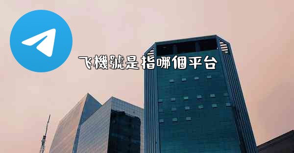 飞機號是指哪個平台