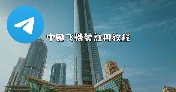 中國飞機號註冊教程