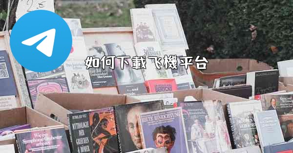 <b>如何下載飞機平台</b>