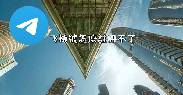 飞機號怎麼註冊不了