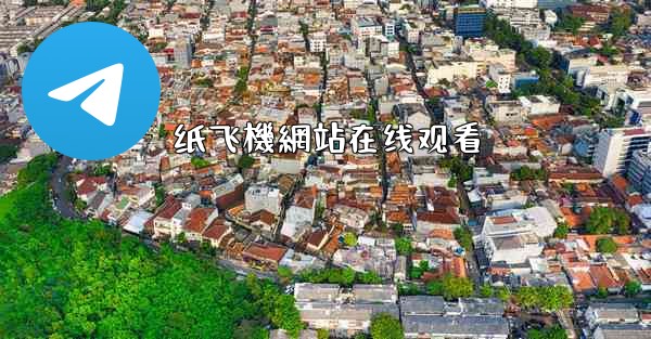 纸飞機網站在线观看