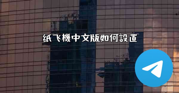 纸飞機中文版如何設置