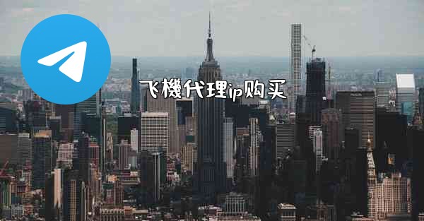 飞機代理ip购买