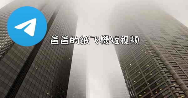 <b>爸爸的纸飞機短视频</b>