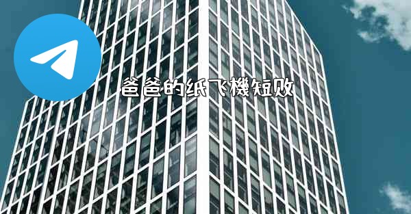 爸爸的纸飞機短剧