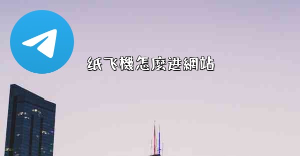 纸飞機怎麼进網站