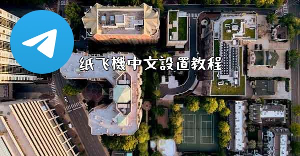 纸飞機中文設置教程