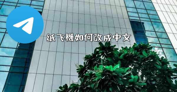 纸飞機如何改成中文