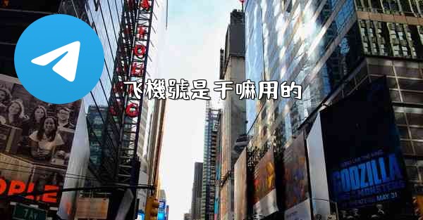 飞機號是干嘛用的