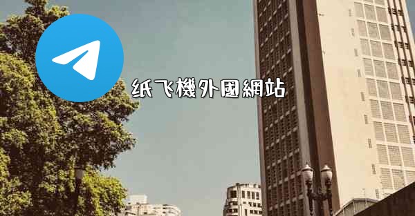 纸飞機外國網站