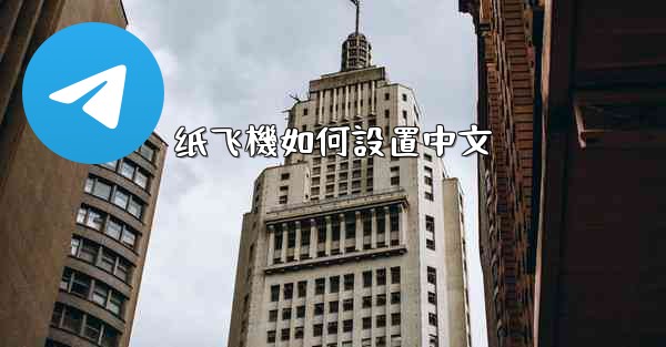 纸飞機如何設置中文