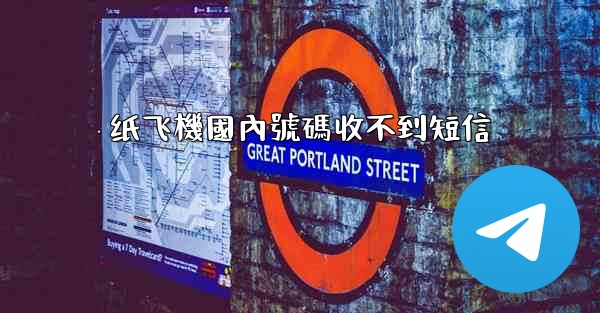 <b>纸飞機國內號碼收不到短信</b>