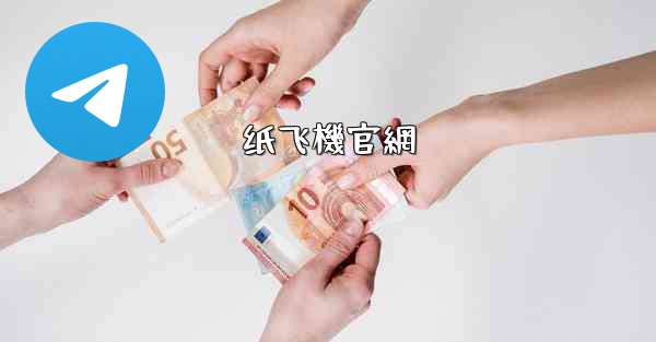 纸飞機官網
