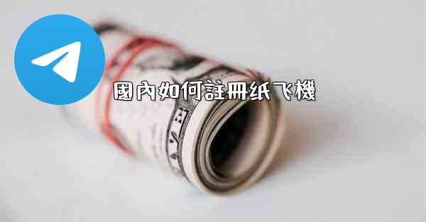 國內如何註冊纸飞機