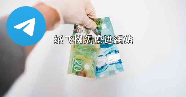 纸飞機怎麼进網站