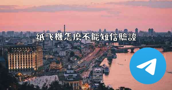 纸飞機怎麼不能短信驗證