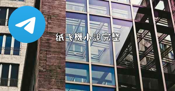 纸飞機小說完整