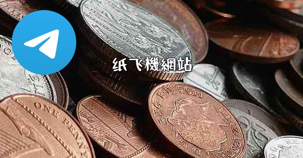 纸飞機網站