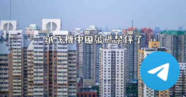 纸飞機中國號碼禁停了