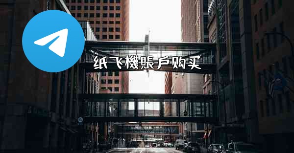 纸飞機賬戶购买