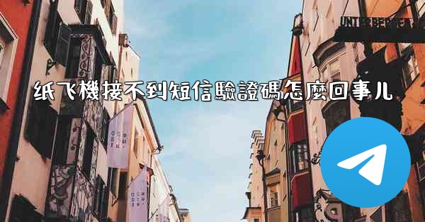 纸飞機接不到短信驗證碼怎麼回事儿