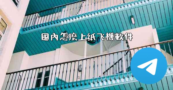 國內怎麼上纸飞機軟件