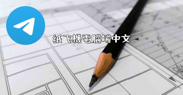 纸飞機電腦端中文