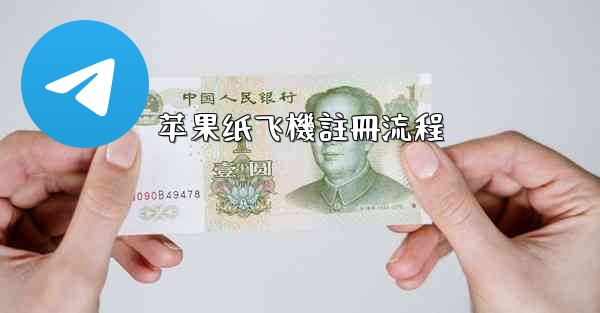 苹果纸飞機註冊流程