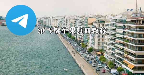 纸飞機苹果註冊教程