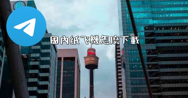 <b>國內纸飞機怎麼下載</b>