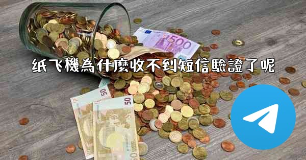 纸飞機為什麼收不到短信驗證了呢