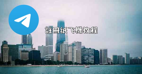 註冊纸飞機教程