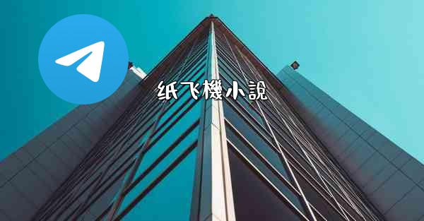 纸飞機小說
