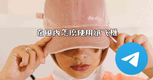 在國內怎麼使用纸飞機