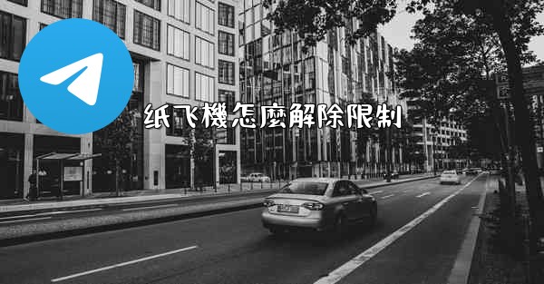 纸飞機怎麼解除限制
