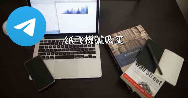 纸飞機號购买