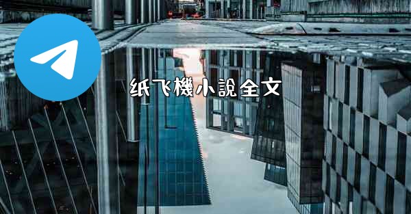 纸飞機小說全文