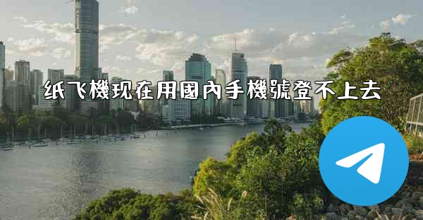 纸飞機现在用國內手機號登不上去