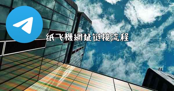 <b>纸飞機網址链接流程</b>
