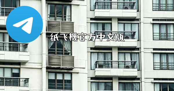 纸飞機官方中文版