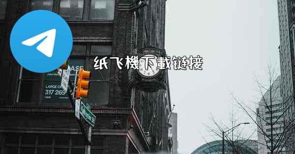 <b>纸飞機下載链接</b>