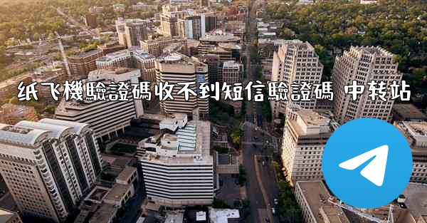 纸飞機驗證碼收不到短信驗證碼 中转站