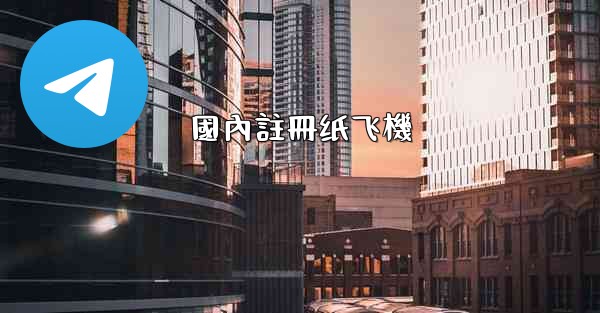 國內註冊纸飞機