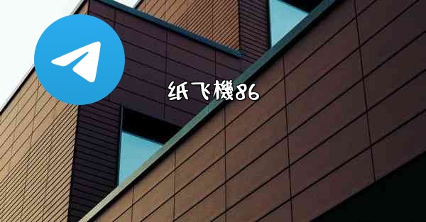 纸飞機86