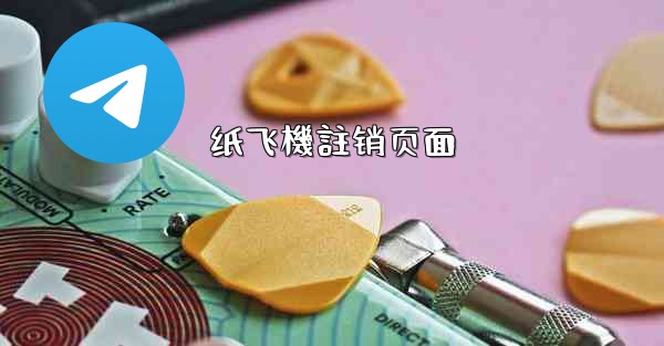 纸飞機註销页面