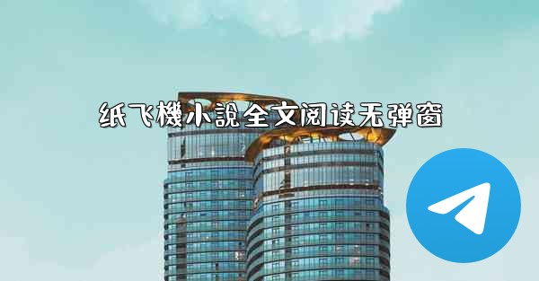 纸飞機小說全文阅读无弹窗