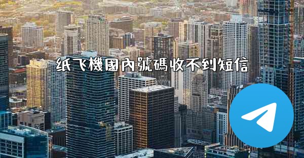 纸飞機國內號碼收不到短信