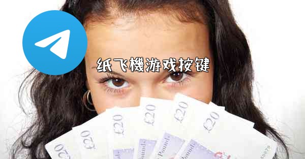 纸飞機游戏按键