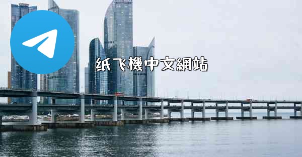 纸飞機中文網站